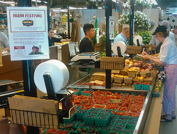 Good Harvest Farm Stand