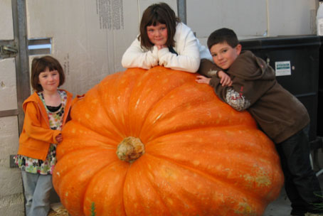 Maddie – Age 6, Abbie – Age 6, and Luke Powell – Age 7. October 2008