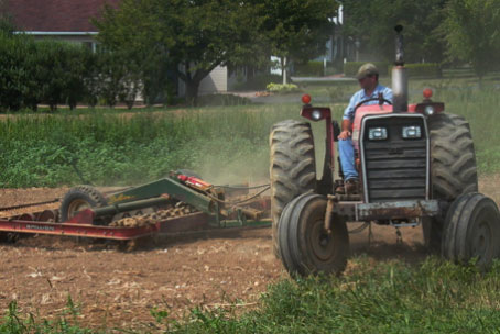 Preparing the ground for our next planting of green beans.